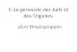 C-Le génocide des Juifs et des Tziganes. a)Les Einsatzgruppen