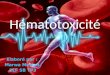 Hématotoxicité Elaboré par : Marwa Mertah 2LF SB TP3