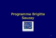 1 Programme Brigitte Sauzay. 2 Historique •Programme lancé lors du 48e sommet franco- allemand de Francfort/Main en octobre 1986 •Dispositif d’échanges
