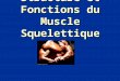 Structure et Fonctions du Muscle Squelettique. I - Caractéristiques générales du tissu musculaire A - Types de tissus musculaires  3 types : squelettique,