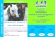 OUROUX - RHÔNE ENFANTS 6-12 ANS JUILLET 2006 PONEYS – PARCOURS NATURE Guidé par le thème des indiens, toute la tribu apprendra à monter à poneys et à s’en