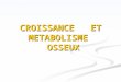CROISSANCE ET METABOLISME OSSEUX. I. Introduction II. Morphologie du tissu osseux i. Macroscopique ii. Microscopique  Classification histologique en