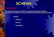 SCHEMA 1 MECANISME On appelle mécanisme un ensemble de composants (mécaniques, électriques, électroniques) assemblés entre eux par des liaisons dans le
