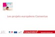 Les projets européens Comenius. Enseigner « autrement » à ses élèves Coopération entre élèves et enseignants de différents pays européens autour d’une