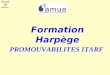 Harpège 2003-2004 PROMOUVABILITES ITARF Formation Harpège