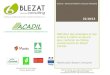 BLEZAT Consulting | 18 rue Pasteur 69007 Lyon France Tél : 04 78 69 84 69 | Fax : 04 78 72 28 65 contact@blezatconsulting.fr |
