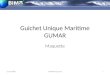 Guichet Unique Maritime GUMAR Maquette 15/10/20081GUMAR Maquette