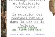 Métissage culturel et hybridation zoologique : la mutation des zoonymes hébreux dans la LXX et la Vulgate Arnaud ZUCKER UNS. CEPAM (UMR 6130) CNARELA 2008