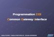 Programmation CGI Common Gateway Interface Julien FAURE - Fabien FONTVIEILLE - Nicolas HERRERO