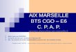 AIX MARSEILLE BTS CGO – E6 C. P. A. P. georges.cherry@ac-aix-marseille.fr georges.cherry@ac-aix-marseille.fr Mise à jour au 01/02/2010 Conseils donnés