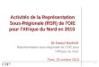 1 Dr Faouzi Kechrid Représentation sous-régionale de l’OIE pour l'Afrique du nord Paris, 26 octobre 2010 Activités de la Représentation Sous-Régionale