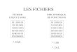LES FICHIERS 011100101 101101001 101011010 010101010 010010101 001000001 FICHIER EXECUTABLE *. EXE 011100101 101101001 101011010 010101010 010010101 001000001