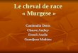 Le cheval de race « Murgese » Camboulin Denis Chauve Audrey Ferreli Axelle Grandjean Mathieu