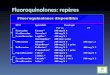 Fluoroquinolones: repères. Paramètres pharmacocinétiques des principales fluoroquinolones MoléculeDosePos. C max BD orale t1/2 Vd E. rénale