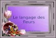 Le langage des fleurs Texte de Jean Claude Brinette