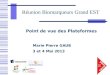 Marie Pierre GAUB 3 et 4 Mai 2013 Point de vue des Plateformes Réunion Biomarqueurs Grand EST