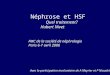 Néphrose et HSF Quel traitement? Hubert Nivet FMC de la société de néphrologie Paris 6-7 avril 2006 Avec la participation involontaire de A Meyrier et
