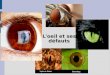 L'oeil et ses défauts. 1 - Structure de l'oeil Rôle des différents éléments L'Iris joue le rôle de diaphragme (D) Le cristalin joue le rôle de lentille