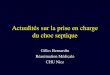 Actualités sur la prise en charge du choc septique Gilles Bernardin Réanimation Médicale CHU Nice