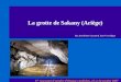La grotte de Sakany (Ariège) 17 e rencontre d’octobre d’Orgnac (Ardèche), 13 et 14 octobre 2007 Par Jean-Pierre Cassou & Jean-Yves Bigot