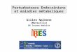 Perturbateurs Endocriniens et maladies métaboliques Gilles Nalbone (Marseille) DR Inserm émérite