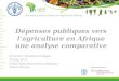 With the financial support of Dépenses publiques vers l’agriculture en Afrique une analyse comparative Presenter: Christian Derlagen 30 July, 2013 CABRI
