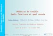 Société Française de Médecine Générale 14/09/2014 17 émes Journées Médicales du Sud – Agadir 31 octobre - 1 er novembre 2008 2 Médecins de famille Quels
