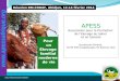 A frica Food Security Initiative APESS Association pour la Promotion de l’Elevage au Sahel et en Savane Secrétariat Général, 04 BP 590 Ouagadougou 04 Burkina