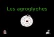 Les agroglyphes Agroglyphes ou Cercles de culture (anglais: « crop circles ») : Aussi improbables que fascinants. Canada, Etats-Unis, Hollande, France,