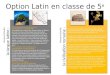 Option Latin en classe de 5 e Pourquoi étudier la langue latine ? Pourquoi étudier la civilisation romaine ? Pour faire UN VOYAGE DANS LE TEMPS Le latin