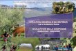 WILAYA DE TIZI-OUZOU DIRECTION DES SERVICES AGRICOLES Mars 2010 REPUBLIQUE ALGERIENNE DEMOCRATIQUE ET POPULAIRE SITUATION GENERALE DU SECTEUR DE L’AGRICULTURE