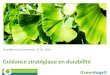 Guidance stratégique en durabilité Bruxelles-Environnement, 15-02- 2010