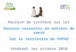 Réunion de synthèse sur les besoins ressentis en matière de santé Sur le territoire du PAPAO Vendredi 1er octobre 2010
