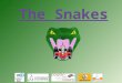 The Snakes. Sommaire 1 – L'équipe (p 2-7) - les personnes - le thème - le logo - le planning - le stand 2 – La voiture (p 8-13) - les inspirations - la