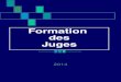 Formation des Juges 2014. Le Jugement en slalom Organisation de la formation 1 – Les OFFICIELS : différentes fonctions, rôle,environnement…. 2 - Nécessité