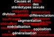 Causes et effets néfastes des stéréotypes sexués division segmentation différenciation spécialisation opposition inégalités conditionnemen t engrenage