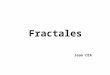 Fractales Jean CEA. Fractales dans la nature Image construite à partir d’images extraites du site d’ECOIST :