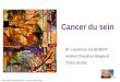 Cancer du sein Dr Laurence GLADIEFF Institut Claudius Regaud TOULOUSE FMC Médecins généralistes L’Union 20/05/2010