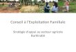 Conseil à l’Exploitation Familiale Stratégie d’appui au secteur agricole Burkinabè