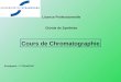 Licence Professionnelle Chimie de Synthèse Cours de Chromatographie Enseignant : Y. FRANCOIS