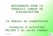 CASNAV58 RESSOURCES POUR LE FRANÇAIS LANGUE DE SCOLARISATION Le damier de compétences Exemples d’activités PALIER 2 du socle commun