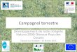 Campagnol terrestre Développement de lutte intégrée Natura 2000 Oiseaux Pays des Couzes Dauzat-sur-Vodable – 13 février 2015