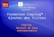 Formation Cogilog™ : Ajouter des filtres Cogilog : Notions de base indispensables COGILOG-SERVICES présente :