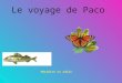 Le voyage de Paco Mérédith et Adèle. Bonjour, je m’appelle Paco. Nous sommes le 23 septembre 2014. Je vole avec mes amis. Il fait très beau aujourd’hui