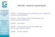 Forum de l’eau 2015 Consultation publique sur le projet de SDAGE - PGRI Allier-Loire Amont 13 janvier ATELIER : MILIEUX AQUATIQUES 15h45 – Introduction