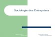 Master 2 IGIS- GEII & STIM Université de Rouen- Grégoire Khatchadourian Sociologie des Entreprises