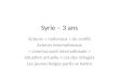 Syrie – 3 ans Acteurs « nationaux » du conflit Acteurs internationaux « communauté internationale » Situation actuelle + cas des réfugiés Les jeunes belges