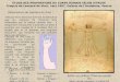 ETUDE DES PROPORTIONS DU CORPS HUMAIN SELON VITRUVE Croquis de Léonard de Vinci, vers 1487, Galerie de l ' Académie, Venise « Vitruve écrit dans son livre