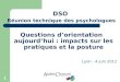 1 DSO Réunion technique des psychologues Questions d’orientation aujourd’hui : impacts sur les pratiques et la posture Lyon - 4 juin 2012