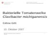 Bakterielle Tomatenwelke Clavibacter michiganensis Céline Gilli 1 10. Oktober 2007 Département fédéral de l'économie DFE Station de recherche Agroscope